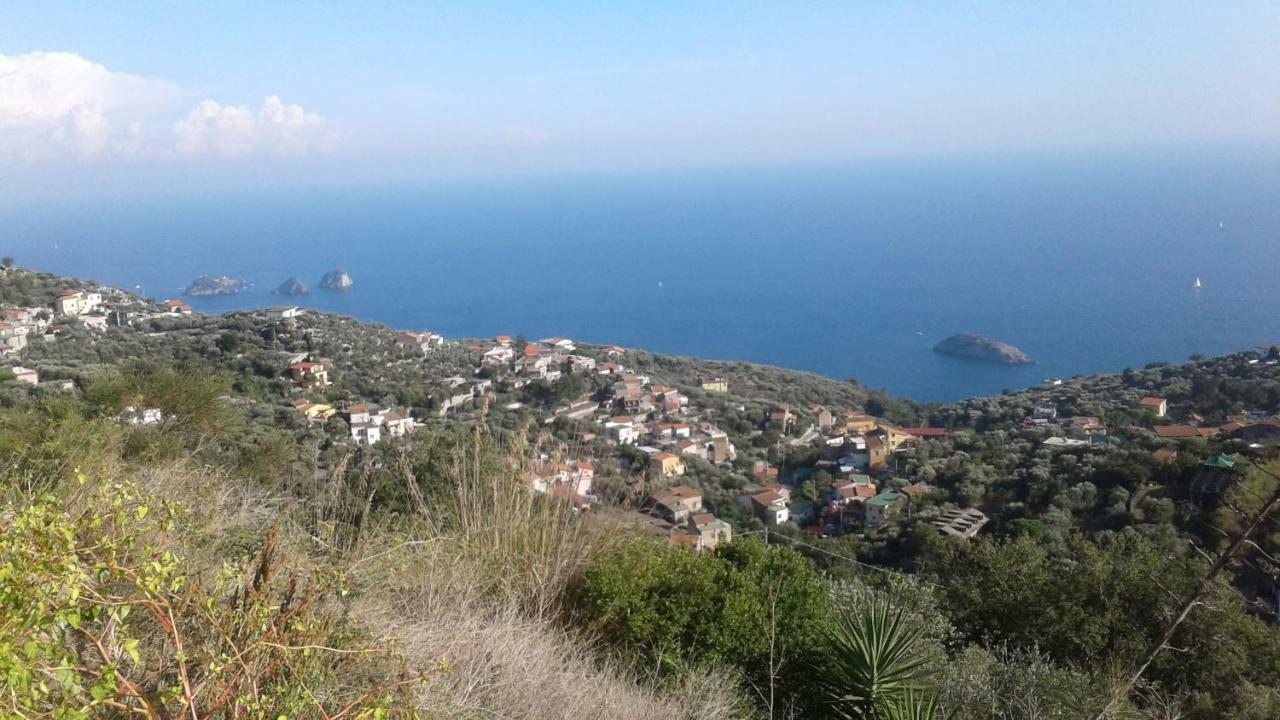Madar Home SantʼAgata sui Due Golfi Екстериор снимка